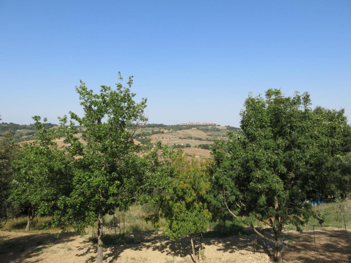 Agriturismo Alchimista Casole d'Elsa Exterior photo