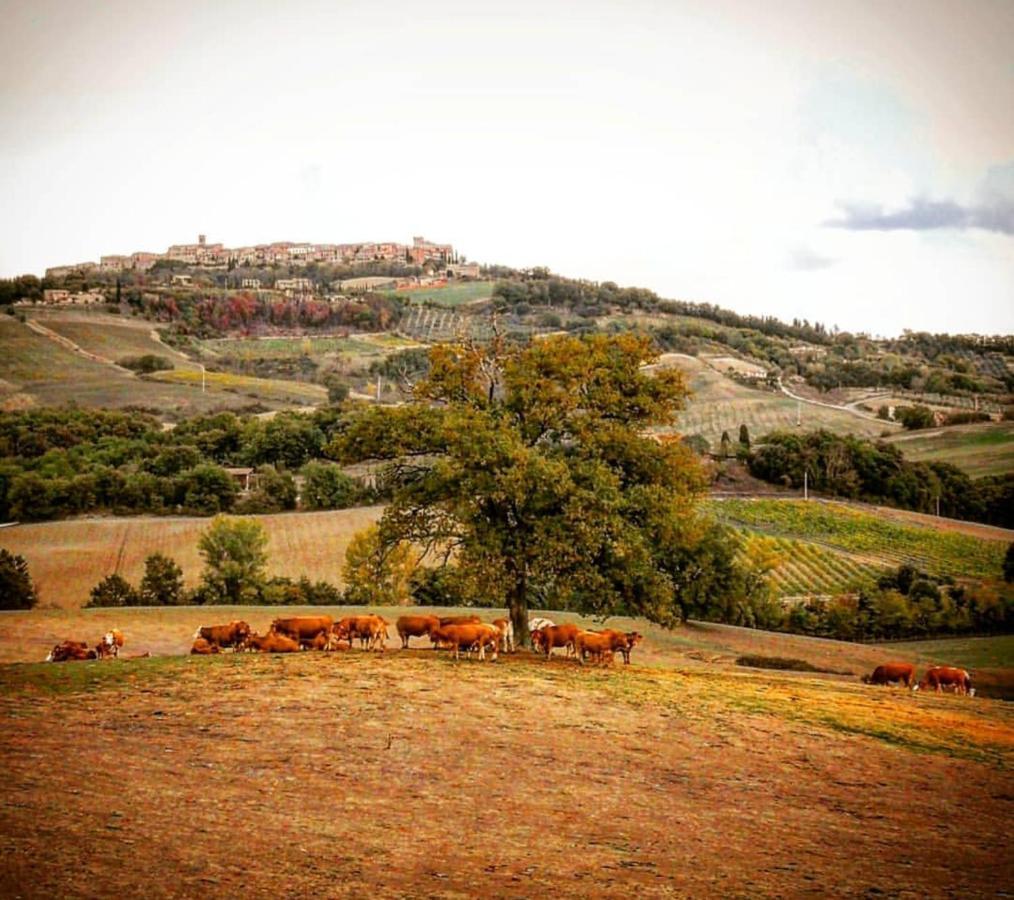 Agriturismo Alchimista Casole d'Elsa Exterior photo